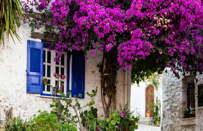 Korfu: Schwimmen in Palaiokastritsa und Sonnenuntergangstour am Loggas Beach - Foto 8
