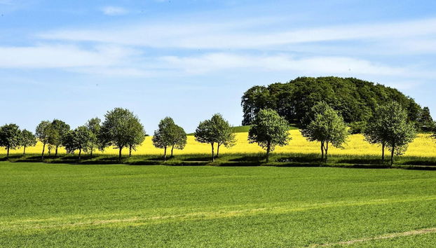 5 Person Holiday Home in Smygehamn - Foto 3, Verschiedenes