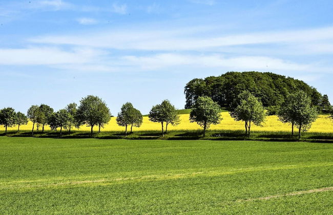 5 Person Holiday Home in Smygehamn - Foto 12