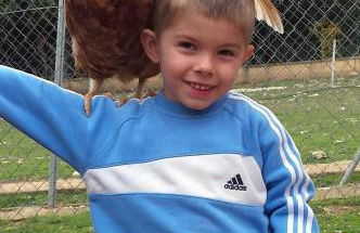 La Granja De Vitoria - Foto 31