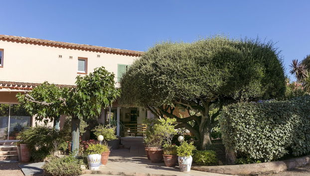 Check-in e check-out automático