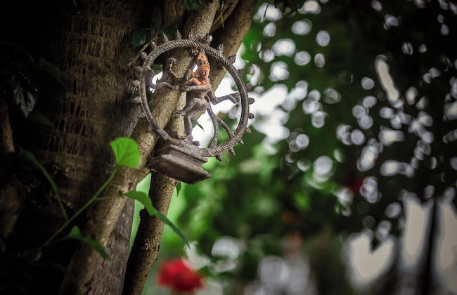 Mingtang Boutique Cottage - Photo 69