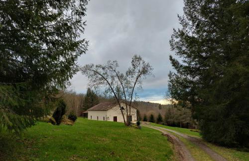 "Le petit bonheur" Gîte van 4 tot 12 personen met privé vijver van 2Ha - Foto 2