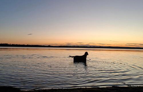 Ferienwohnung 2 Familie Siegl - Photo 23