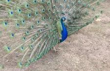 Greystones nawab unit B buxton sleep upto 5 in peak park - Foto 9