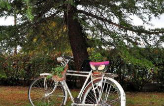 Stergios Garden House - Foto 37