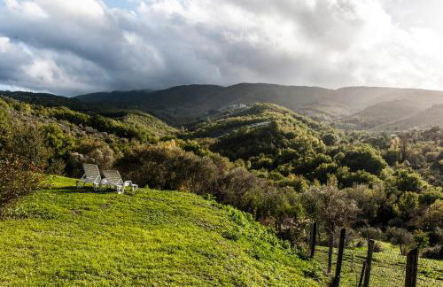 Tenuta San Felice - Foto 33