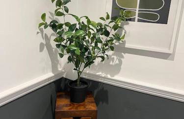 West House Mews A - Foto 10