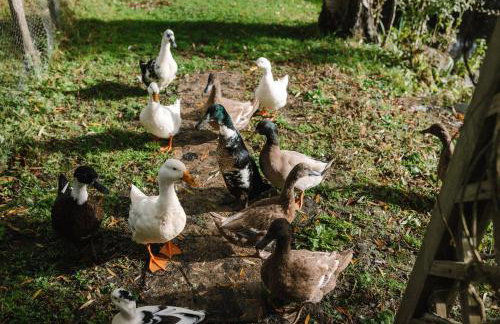 The Granary Smeeth - Foto 58