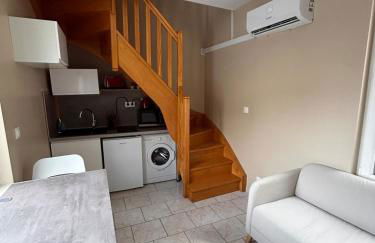 Appartement F1 duplex Hyper centre - Foto 12