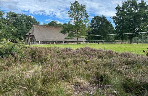 Nordheideblockhaus - Foto 20