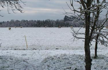Luxury Shepherd's Hut - The Hyde - Photo 25