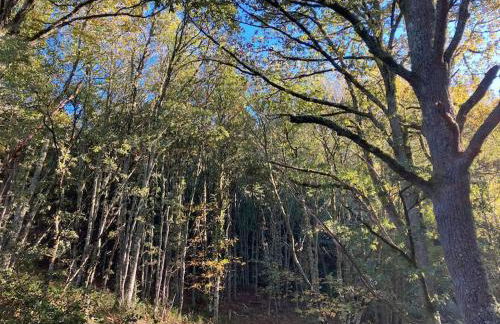 A Casa da Fonte - Foto 40