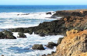 Dolphin by OceanviewHotTubs Oceanfront Shelter Cove Tesla - Foto 12