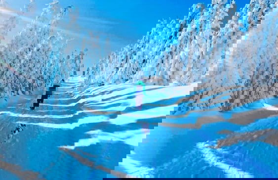 Chalet & Apart Fichtelberger - Blick - Foto 71