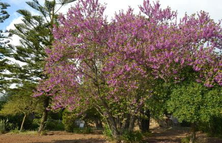 Villa Titì - Foto 46