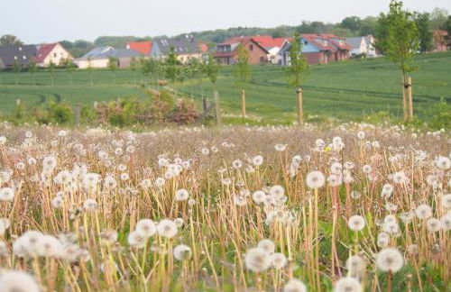 Emilias Hüs, Reethaus in der Bucht von Wismar - Photo 28