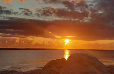 La Conchiglia - Foto 43