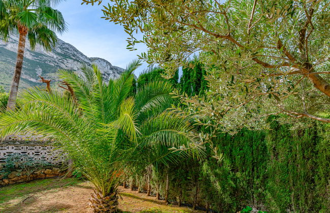 Villa Fili - Foto 28