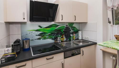 Ferienwohnung in dem schönen Kurort Bad Dürkheim - Foto 1, stove, dishwasher, pet friendly