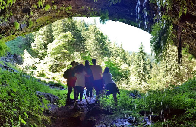 VVF Corrèze Pays d'Eygurande - Photo 66