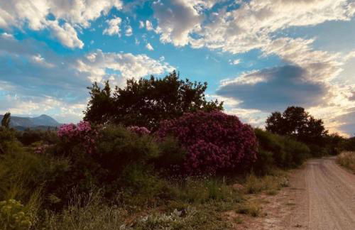 Sol's Place - Photo 26