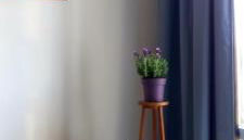 Casa O Sole mio - Foto 5