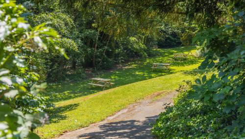 Stylish Private Bedrooms and Apartments at Beech Gardens Student Accommodation - Foto 4, Garden