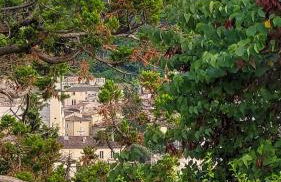 L'Oustalette in Forcalquier - Foto 8