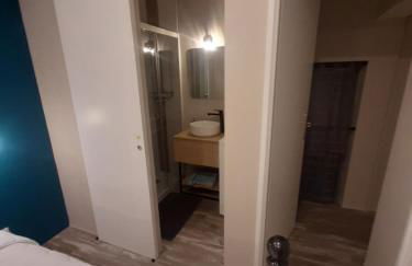 3 Apt T2 COSY de 40 à 50 M2 Idéal pour un déplacement PRO " Les IRIS " - Foto 80