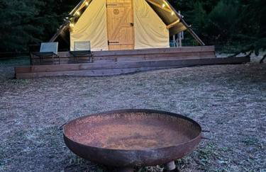 La Cabane de l'Orpailleur - Photo 3
