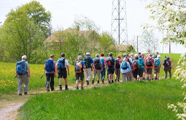 "Camino de Santiago": PORTUGUESE WAY. Private Walking Tour from Tui - Photo 8