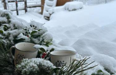 Javor Holiday House - Foto 47