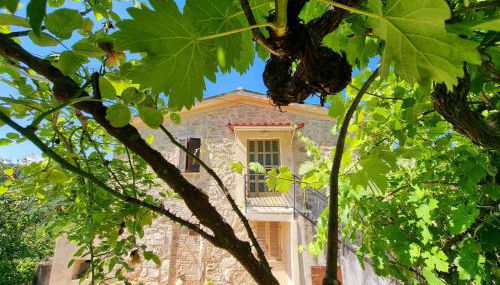 Casa Vacanze Gli Allori - Photo 3