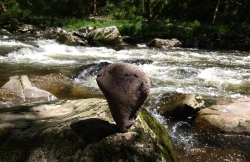Ferienwohnung Zum Grünen Berg - Foto 21