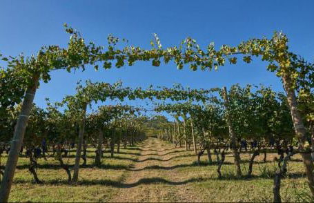 Mari’s House - Foto 24