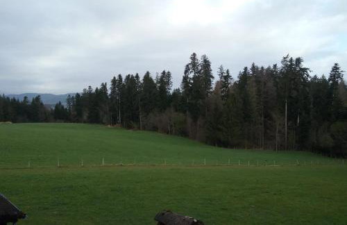 Haus Biggi - Ferienwohnung Hochgrat - Photo 4