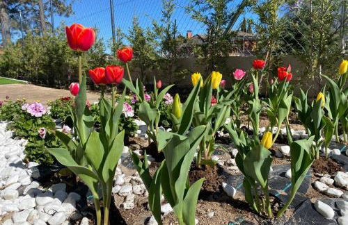 Charming apartment in Becerril de la Sierra - Foto 15