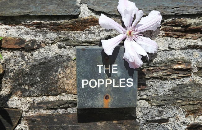 Charming 2-bed Cottage in Modbury - Foto 12