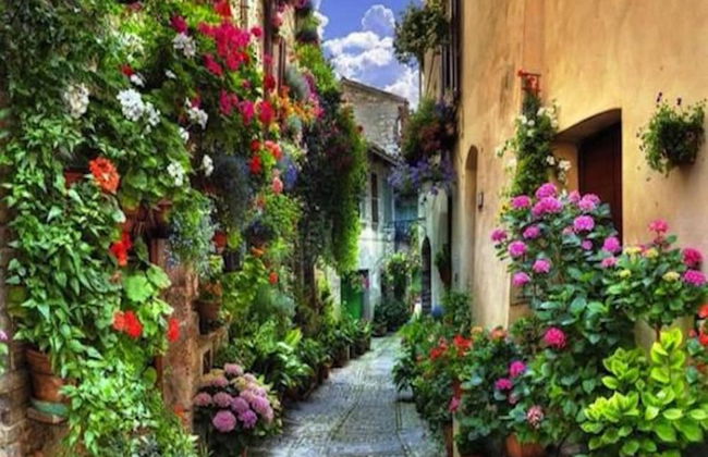 Emerald Apt City Center - Foto 15