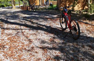 Domki La Bella 3 - Photo 18