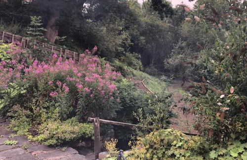 Bryn Melyn Farm Cottages - Foto 8