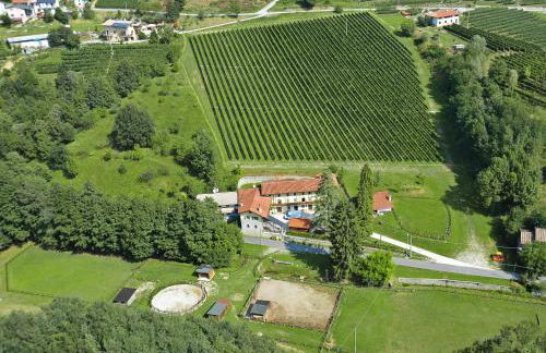 Country House Ramandolo Club - Photo 44