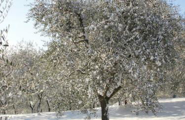 Agriturismo Il Palazzaccio - Foto 53