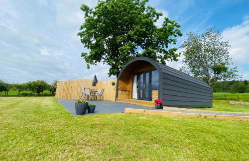 Dryfe Lodge - Foto 17