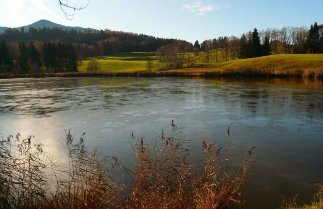 House Marina Modern Retreat - Foto 8