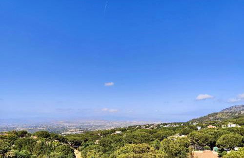 Buena Vista - Photo 6