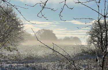 Ferienwohnung Ostseefeuer - Foto 76