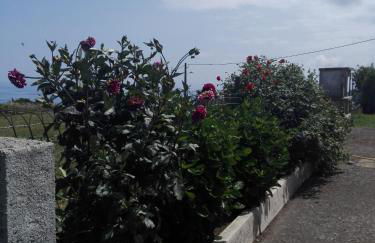 Casa vicente - Foto 18