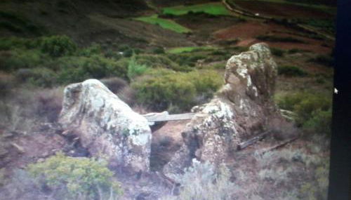 Nekasenea II - Foto 5